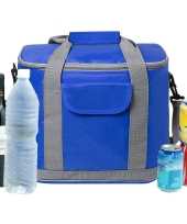 Grote koeltas draagtas schoudertas blauw 37 x 29 x 21 cm 22 liter